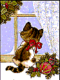 card4.gif